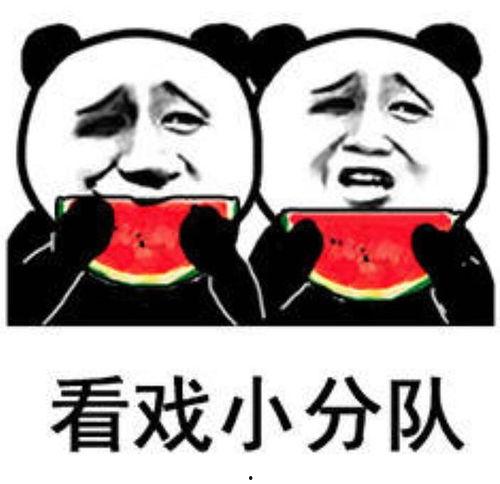 吃瓜娱乐小狗表情包,萌态可掬，笑点满满